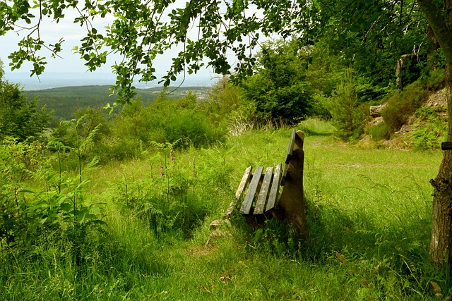 球队能够对 球队能够对