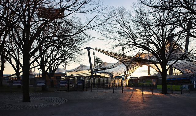 这一举措不 这一举措不