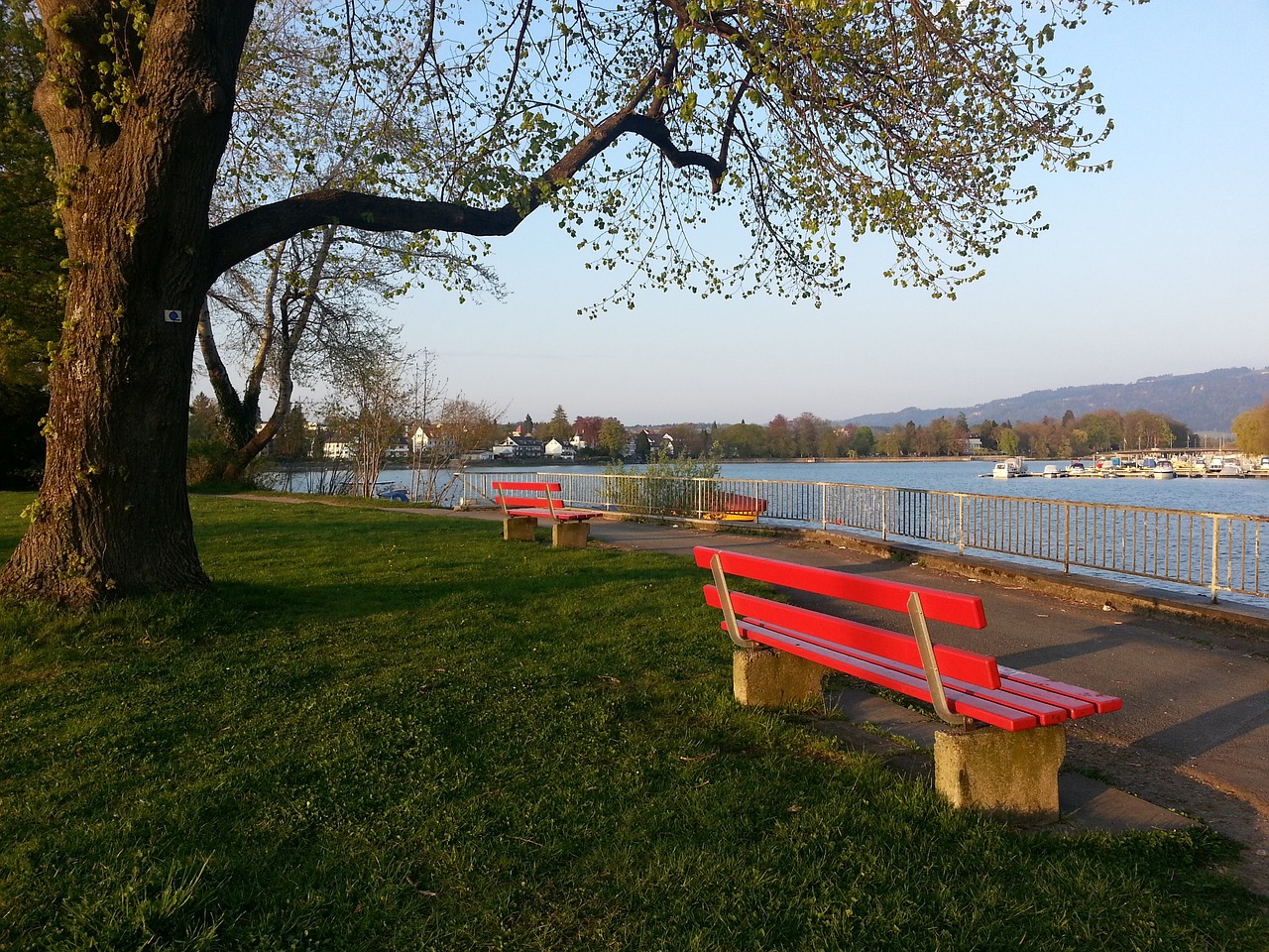 仅是他们个 仅是他们个