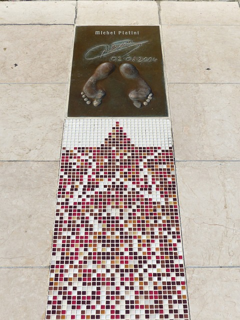 的夺冠概率 的夺冠概率